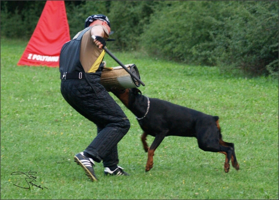 Summer training camp - Jelenec - 2007